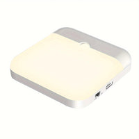 Shenzhi Tech LED Night Lamp, Motion Detection Light with USB C Rechargeable Feature, Cordless LED Wall Light for Stairs, Closet, Kitchen, Bedroom, And Garage - Buy online at  Vibe In Cart.