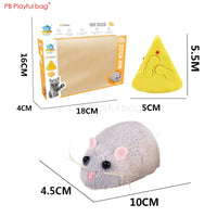 Electric Remote Control Simulated Insect and Snake Toy