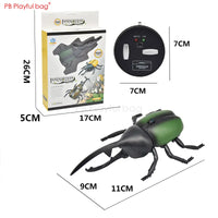 Electric Remote Control Simulated Insect and Snake Toy
