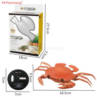 Electric Remote Control Simulated Insect and Snake Toy