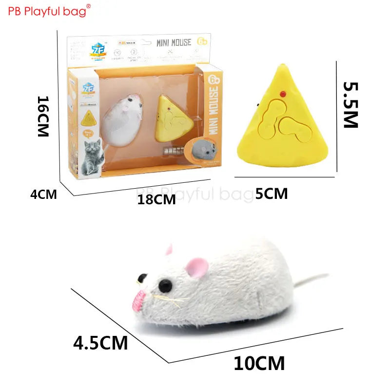 Electric Remote Control Simulated Insect and Snake Toy