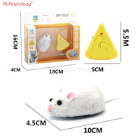 Electric Remote Control Simulated Insect and Snake Toy