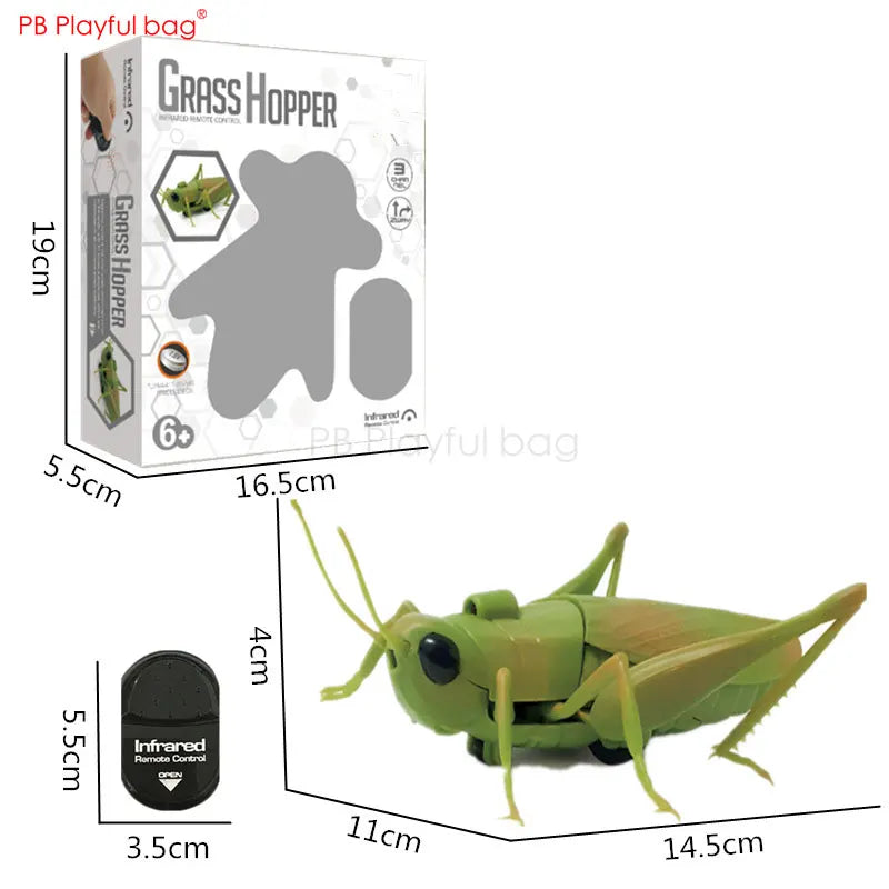 Electric Remote Control Simulated Insect and Snake Toy