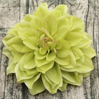 10PCS/lot Big Artificial Dahlia Peony Flower Head 14/15CM Dia Silk Flower Wedding Flowers Wall Floral Party Home Decorative - Buy online at  Vibe In Cart.