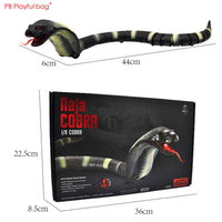 Electric Remote Control Simulated Insect and Snake Toy