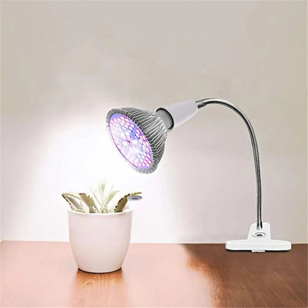 EU US Plug 360 Degrees Flexible Desk Lamp Holder E27 Base Light Socket Gooseneck Clip-On Cable With On Off Switch for Home Plant - Buy online at  Vibe In Cart.