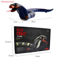 Electric Remote Control Simulated Insect and Snake Toy