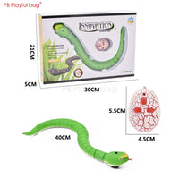 Electric Remote Control Simulated Insect and Snake Toy
