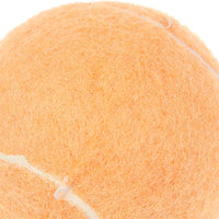 1/3Pcs 65MM Ladies Beginners Durable Practice Tennis Ball Tennis Balls Wear-Resistant Highly Elastic Training Balls For Club - Buy online at  Vibe In Cart.