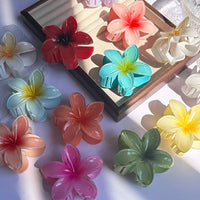 1/2/3 Pcs Hawaiian Gradient Flower Hair Claw Clip Women Fashion Large Hair Clip Girls Hairpin Barrettes Bohemia Hair Accessories - Buy online at  Vibe In Cart.