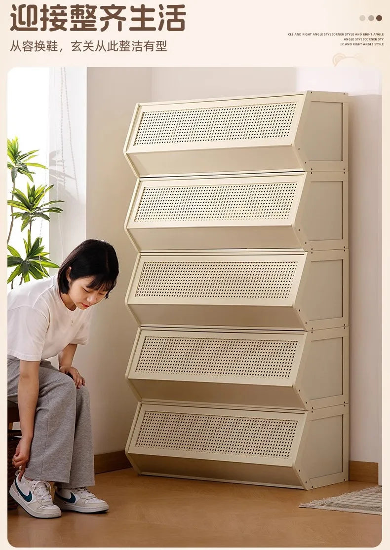 Multi-Layer Shoe Cabinet with Door for Dust-Proof Storage