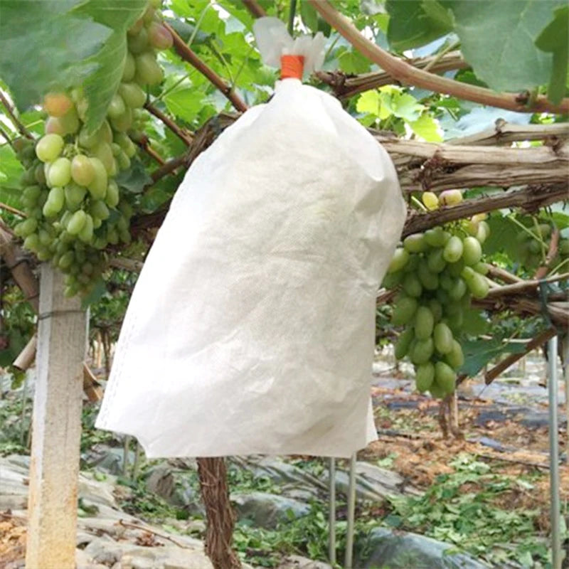 1/3Pcs Plant Covers Freeze Protection Non-woven Fabric Frost Cloth Plants Jacket Drawstring Tree Cover for Outdoor Plants - Buy online at  Vibe In Cart.