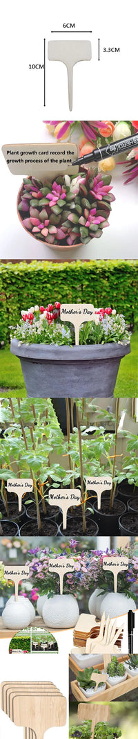 10/20/30PCS Garden Marker Plant Identification Cards Garden Labels Plant Sign Tags Markers for Plants ZWBQP01 - Buy online at  Vibe In Cart.