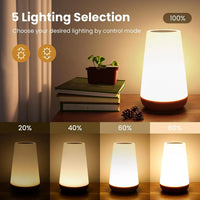 13 Color Changing Night Light Remote Control Touch USB Rechargeable RGB Night Lamp Dimmable Lamp Portable Table Bedside Lamp - Buy online at  Vibe In Cart.