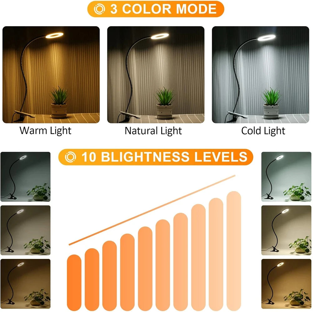 LED Reading Lights 360°Flexible Gooseneck Dimmable Table Lamp Clip On Indoor Bedroom Eye Protection Desk Light Book Clamp Lamp - Buy online at  Vibe In Cart.