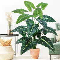 60-107cm Artificial Flowers Calla Lily Horseshoe Leaf Turtle Leaf Bobcat Leaf Fake Plant Ornamental Holiday Home Decoration - Buy online at  Vibe In Cart.
