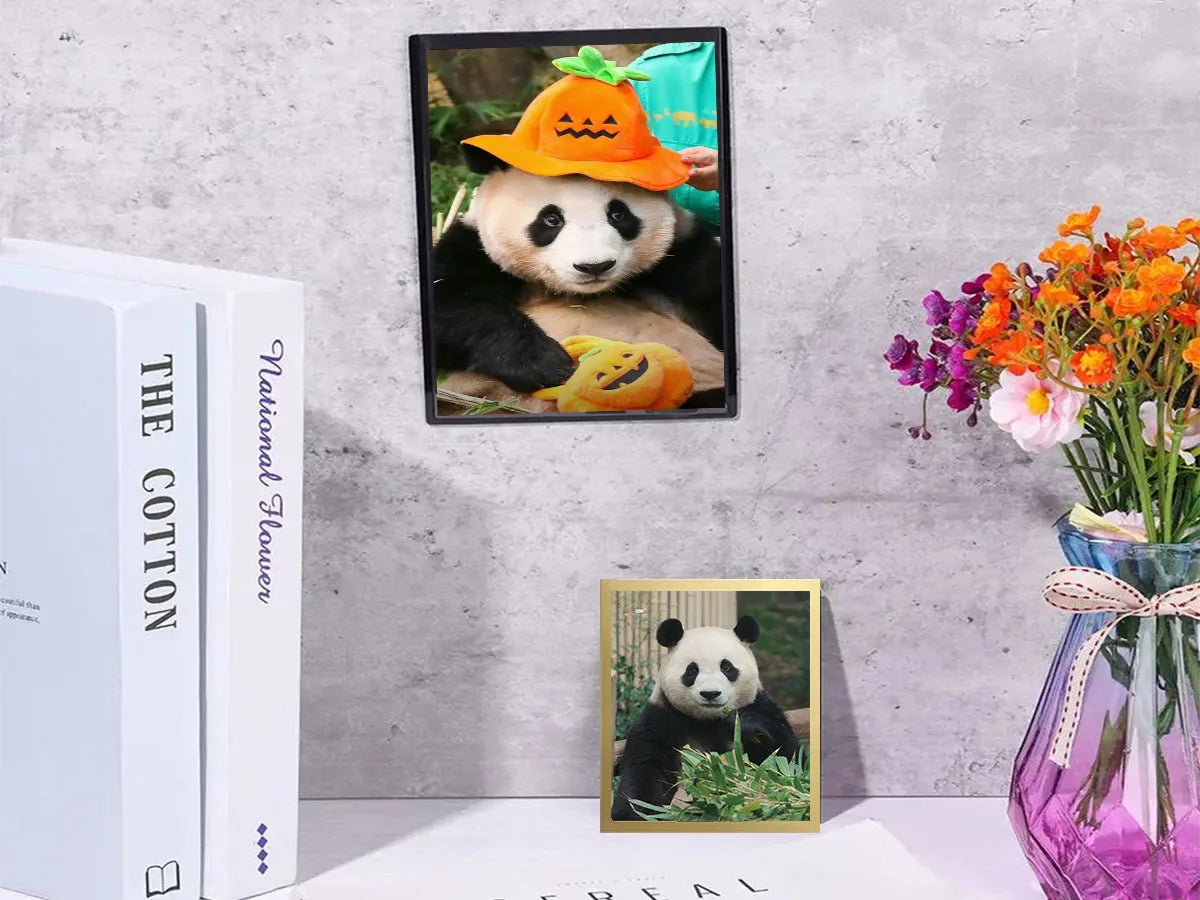 Magnetic Picture Frames Wall Kpop Photocard Holder Display Decor for Wall Window Office Advertise 5Pack A3/A4/A6/Square30x30cm - Buy online at  Vibe In Cart.