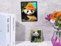 Magnetic Picture Frames Wall Kpop Photocard Holder Display Decor for Wall Window Office Advertise 5Pack A3/A4/A6/Square30x30cm - Buy online at  Vibe In Cart.