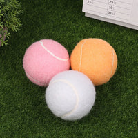 1/3Pcs Tennis Balls Wear-Resistant Highly Elastic Training Balls 65MM Ladies Beginners Durable Practice Tennis Ball For Club - Buy online at  Vibe In Cart.