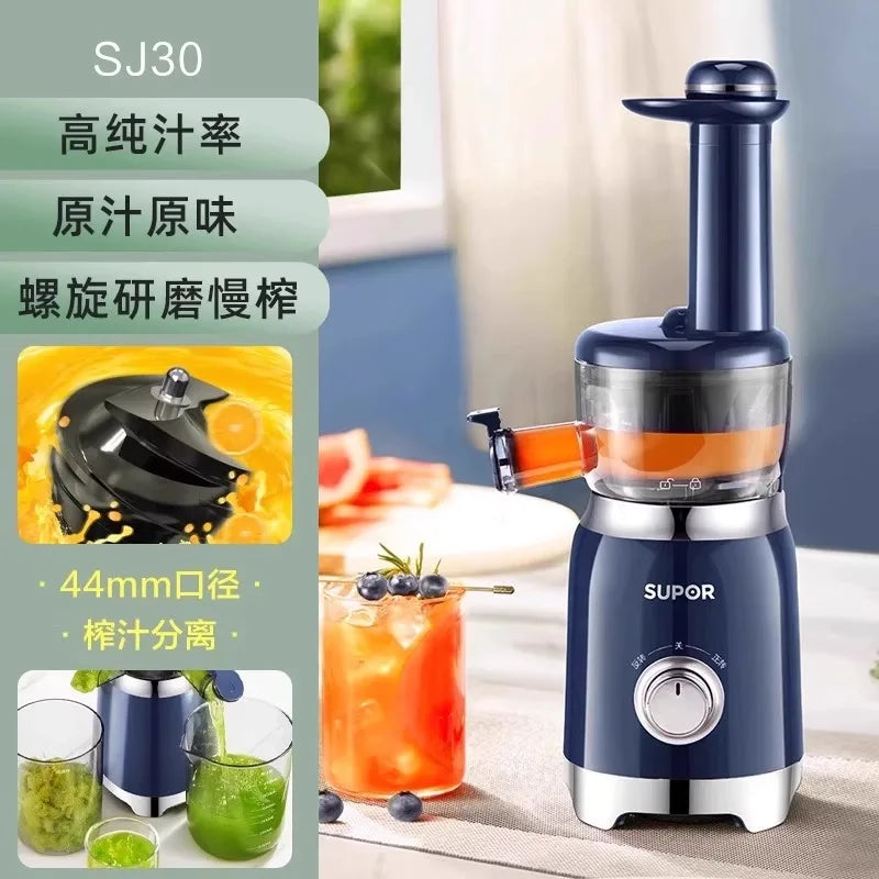 Stainless Steel Spiral Juicer with Automatic Pulp Ejection, 500-1000ml Capacity