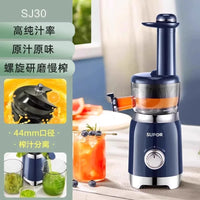 Stainless Steel Spiral Juicer with Automatic Pulp Ejection, 500-1000ml Capacity