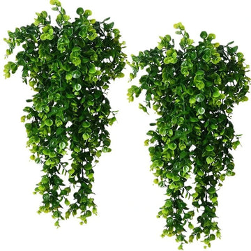 1Pcs Artificial 5Forks Rattan Eucalyptus Wall Hanging Simulation Greenery Fake Hanging Plants Vine Diy  Home Outdoor Decor Plant - Buy online at  Vibe In Cart.