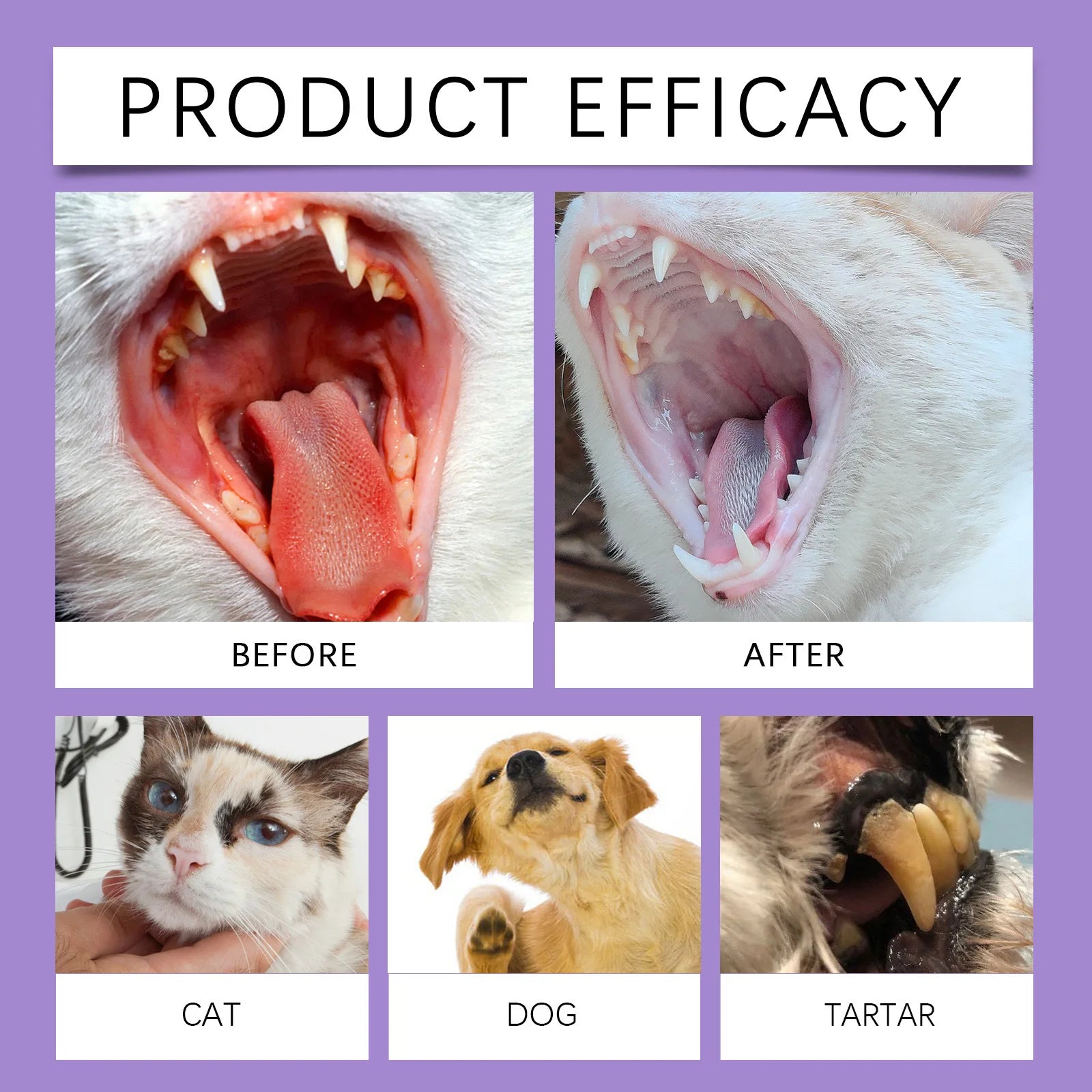 Pet Oral Cleaning Spray 50ml Dogs Cats Teeth Clean Deodorant Prevent Calculus Remove Kitten Bad Breath Mouth Fresh Pet Supplies - Buy online at  Vibe In Cart.