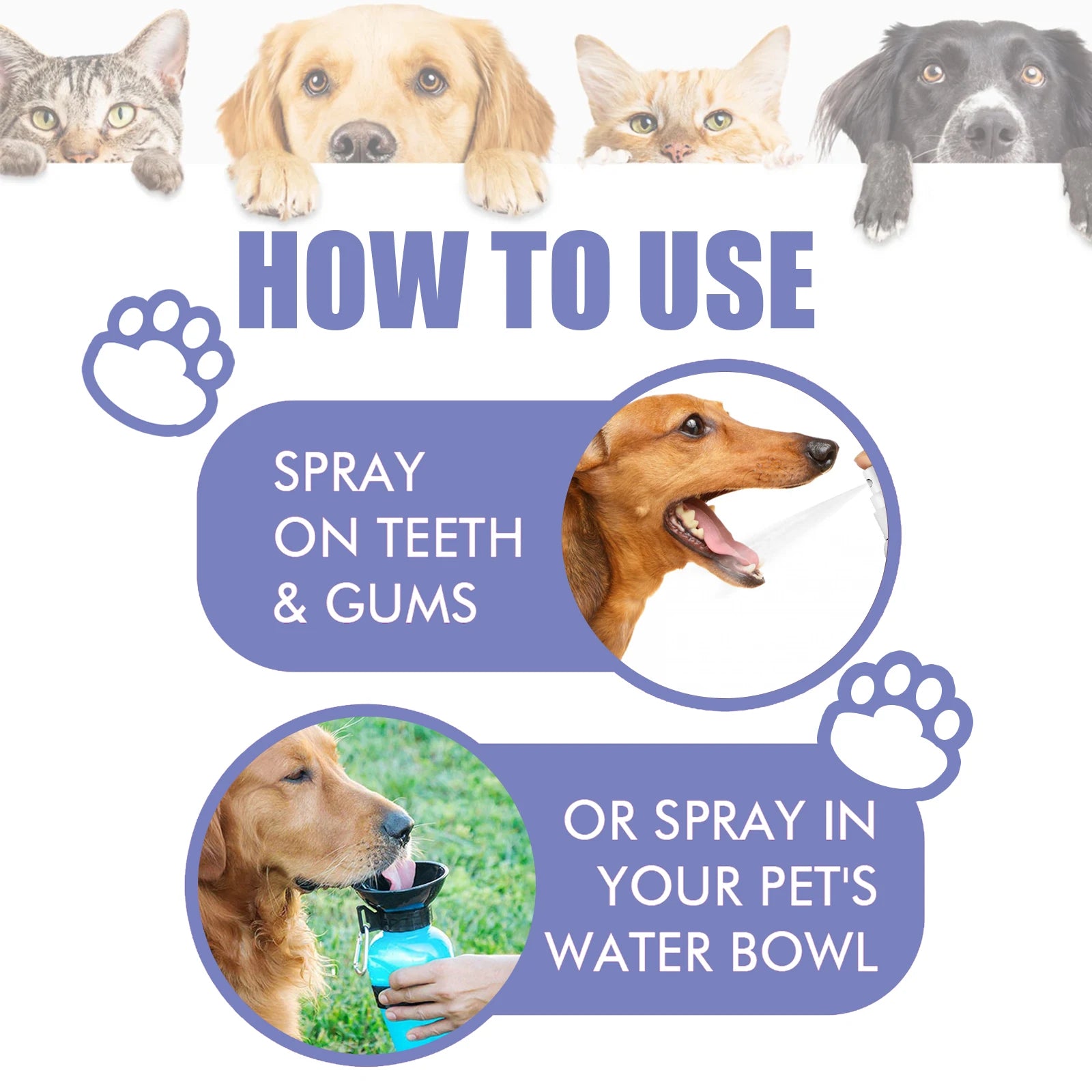 Pet Dental Spray for Dogs and Cats Freshen Breath Remove Plaque Tartar Oral Care Water Additive Easy Use 30ml No Brush Needed - Buy online at  Vibe In Cart.