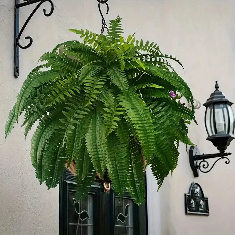 Realistic Boston Ferns 57cm/67cm Artificial Boston Fern Plants 38 Leaves UV Resistant Fake Ferns Greenery for Door Porch Decors - Buy online at  Vibe In Cart.