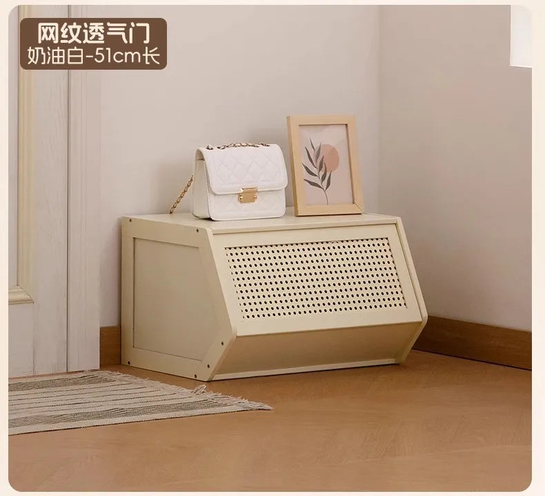 Multi-Layer Shoe Cabinet with Door for Dust-Proof Storage