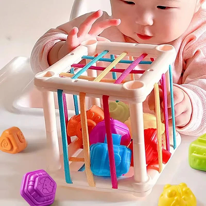 Educational Sorting Blocks Toy for Baby Sensory Development