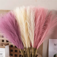 55CM 5PCS Fluffy Pampas Grass Boho Decor Flower Fake Plant Reed Simulated Wedding Party Home Decoration Artificial Flowers - Buy online at  Vibe In Cart.