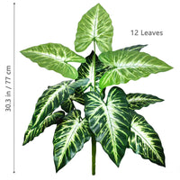 60-107cm Artificial Flowers Calla Lily Horseshoe Leaf Turtle Leaf Bobcat Leaf Fake Plant Ornamental Holiday Home Decoration - Buy online at  Vibe In Cart.