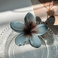 Large Bohemia Style Plastic Flower Hair Clip for Women