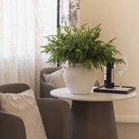 24/12pcs Artificial Cedar Sprigs - Perfect for Christmas & Winter Home Decor, Tabletop Accents - Buy online at  Vibe In Cart.