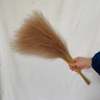 55cm 5-Piece Fluffy Artificial Pampas Grass Bouquet Decor
