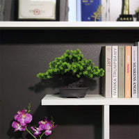 Artificial Plant Greenery Fake Bonsai Tree Indoor Bookshelf Desk Bathroom Farmhouse Decor Home Room Office Decoration Fake Plant - Buy online at  Vibe In Cart.