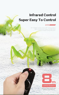 Infrared Remote Control Mini Mantis Insect Simulation Toy