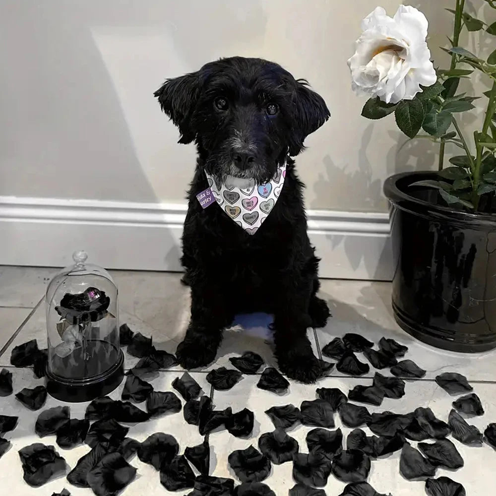 100-10000Pcs Top Colorful Artificial Fake Rose Petals Red White Gold Roses Petal Flowers Romantic Wedding Party Valentine Decor - Buy online at  Vibe In Cart.