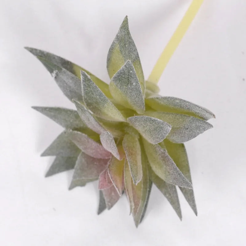 1Pcs Artificial Succulent Plants Green Plant Decorations Cactus Small Ornaments Indoor Office Potted Bonsai Garden Arrange Decor - Buy online at  Vibe In Cart.