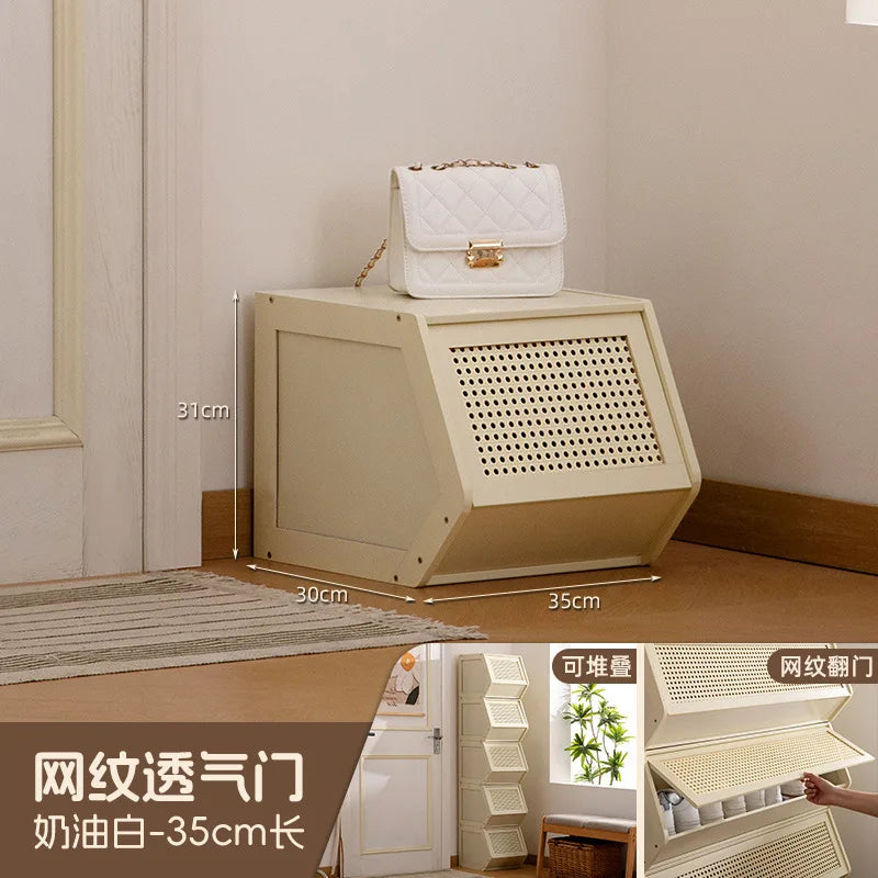 Multi-Layer Shoe Cabinet with Door for Dust-Proof Storage