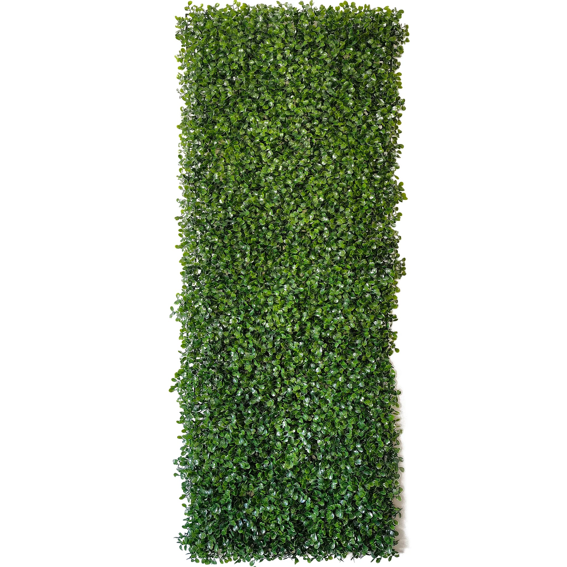 40X120CM Artificial Plant Wall Decoration Simulation Chlorophytum Comosum Grass Decoration Garden Fence Wedding Hotel Decoration - Buy online at  Vibe In Cart.