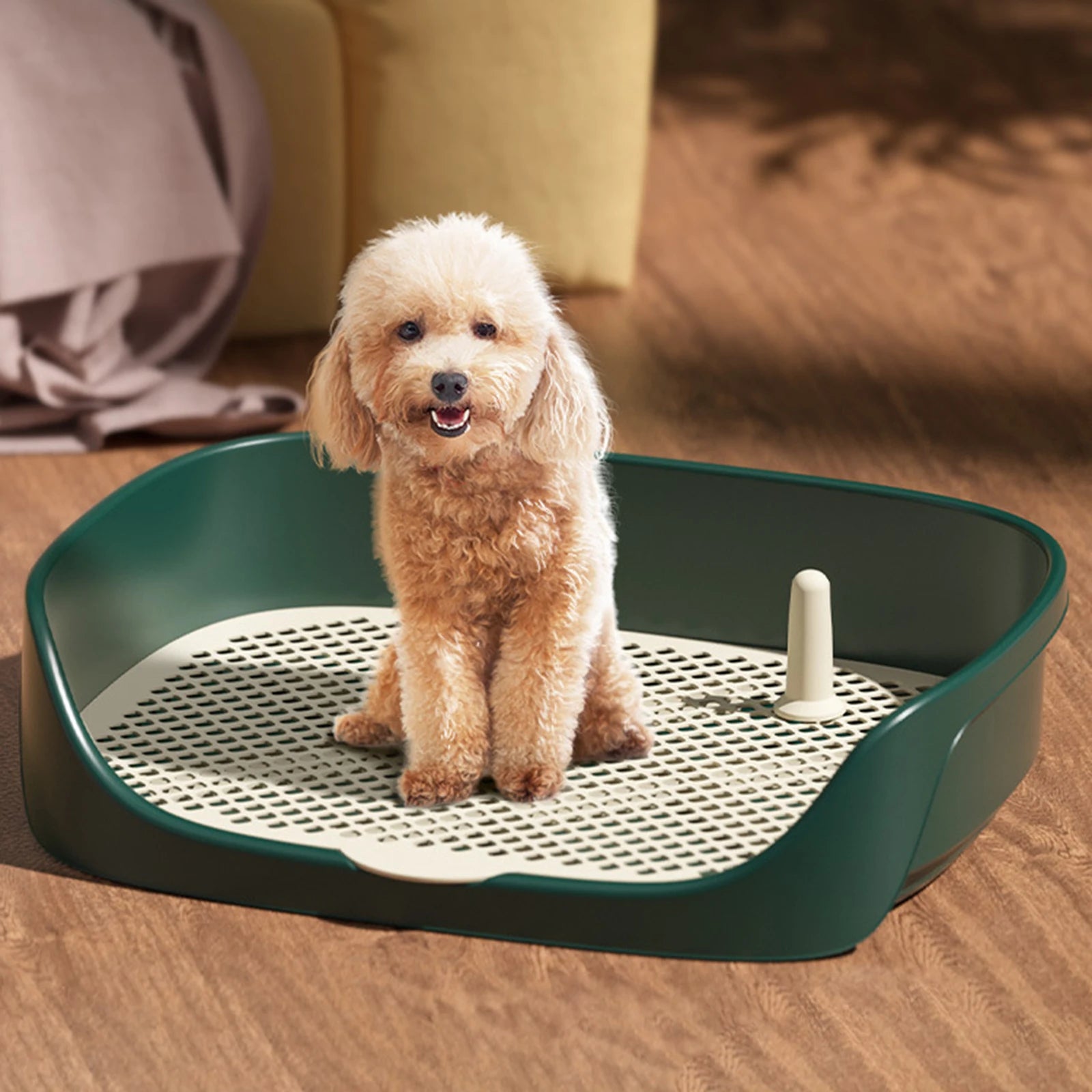 Pet Dog Toilet Portable Dog Potty Pan Trainer Litter Box Anti-Splash Pets Wc Toilet Puppy Kitten Cleaning Tool - Buy online at  Vibe In Cart.