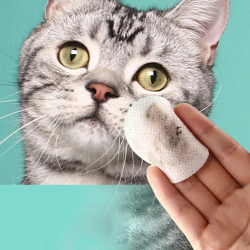 Pet Eye Wipes Cat and Dog Tearmark Wet Wipes Cat and Dog Universal No Irritation Cleaning Products 130 Pieces Wipes Pet Supplies - Buy online at  Vibe In Cart.