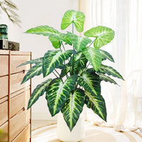 60-107cm Artificial Flowers Calla Lily Horseshoe Leaf Turtle Leaf Bobcat Leaf Fake Plant Ornamental Holiday Home Decoration - Buy online at  Vibe In Cart.