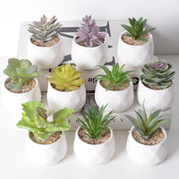 1Pcs Artificial Succulent Plants Green Plant Decorations Cactus Small Ornaments Indoor Office Potted Bonsai Garden Arrange Decor - Buy online at  Vibe In Cart.