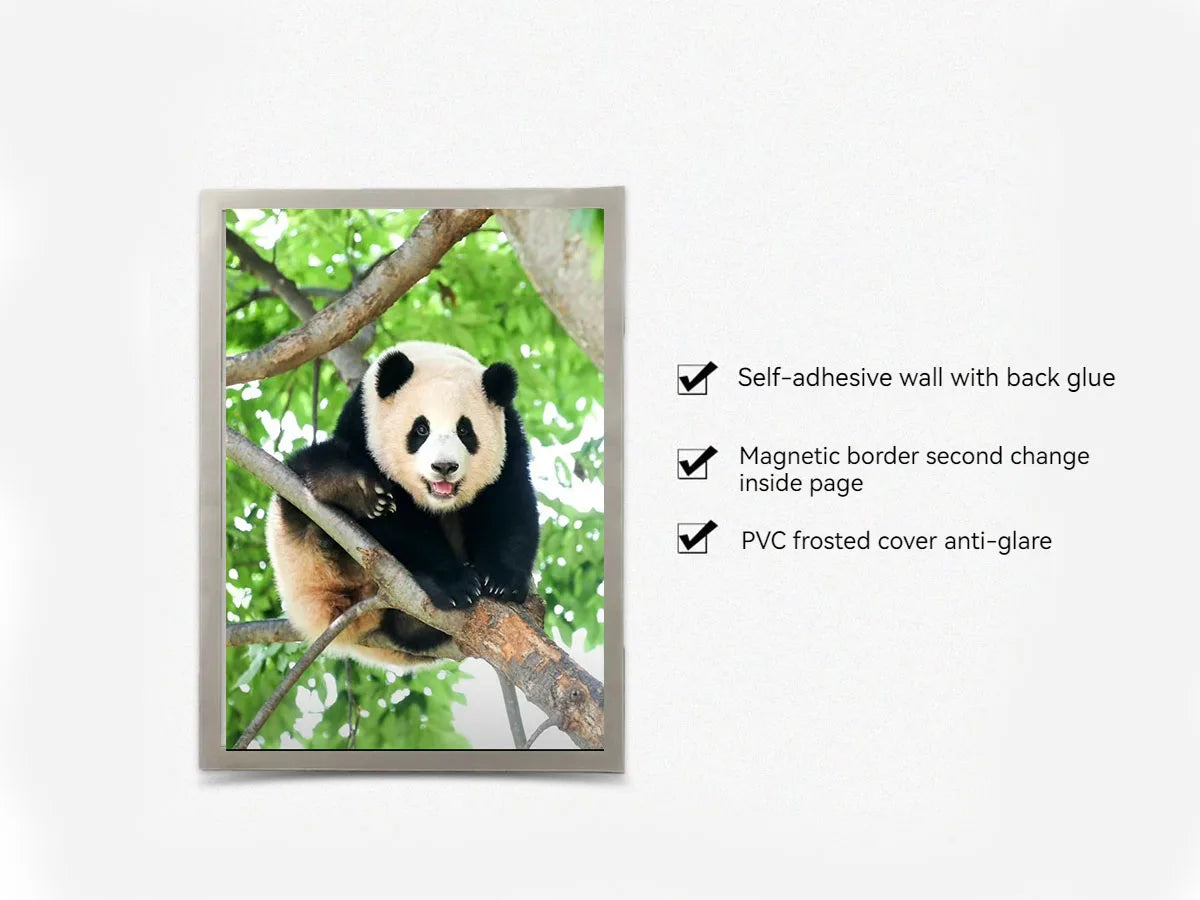 Magnetic Picture Frames Wall Kpop Photocard Holder Display Decor for Wall Window Office Advertise 5Pack A3/A4/A6/Square30x30cm - Buy online at  Vibe In Cart.