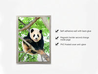 Magnetic Picture Frames Wall Kpop Photocard Holder Display Decor for Wall Window Office Advertise 5Pack A3/A4/A6/Square30x30cm - Buy online at  Vibe In Cart.