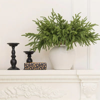 24/12pcs Artificial Cedar Sprigs - Perfect for Christmas & Winter Home Decor, Tabletop Accents - Buy online at  Vibe In Cart.