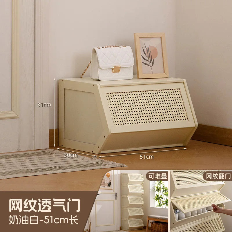 Multi-Layer Shoe Cabinet with Door for Dust-Proof Storage